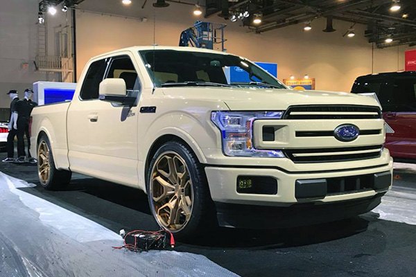 2019 Catalog (5.9 MB)