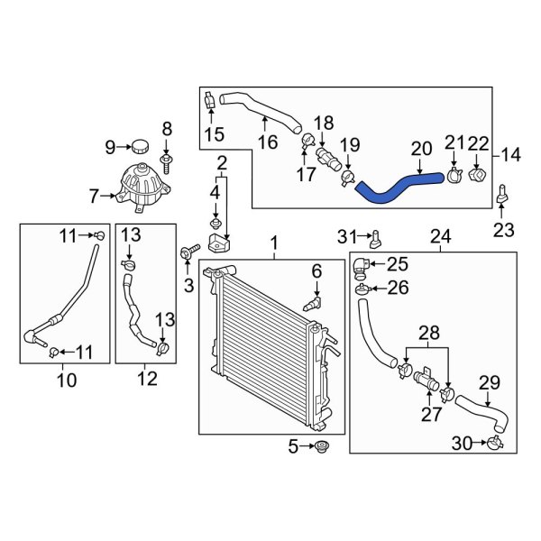 Radiator Coolant Hose