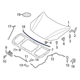 Hyundai Ioniq 5 Hood Weatherstripping Seals — CARiD.com