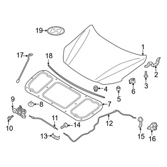 Hyundai OE - Hood & Components