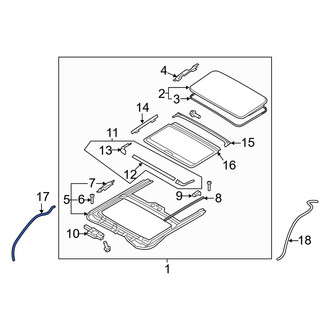 Hyundai OE - Front Right Sunroof Drain Hose