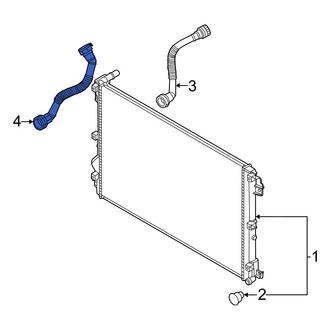 Hyundai OE - Lower Radiator Coolant Hose