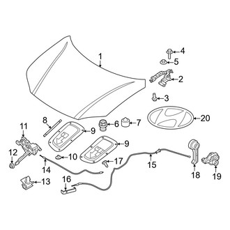 Hyundai OE - Hood & Components