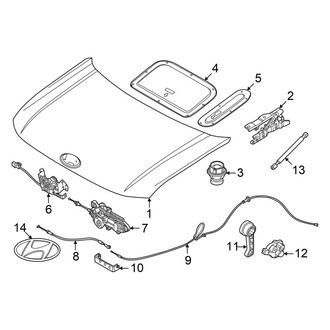Hyundai OE - Hood & Components
