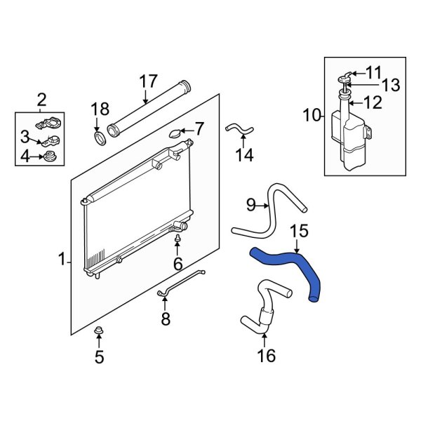 Radiator Coolant Hose