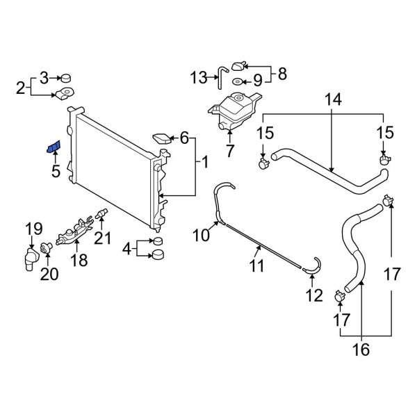 Radiator Drain Plug