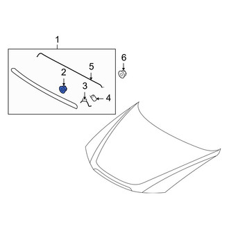 Hyundai OE - Door Molding Nut