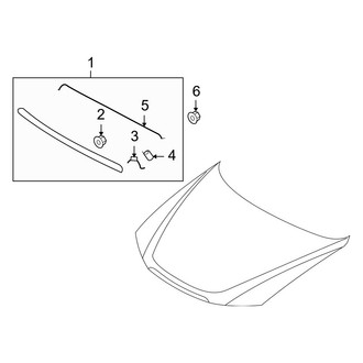 Hyundai OE - Hood - Exterior Trim