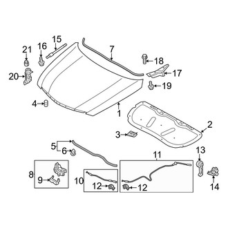 Hyundai OE - Hood & Components