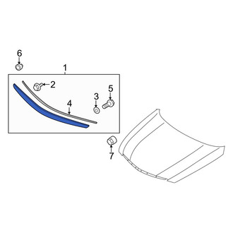 Hyundai OE - Front Hood Molding