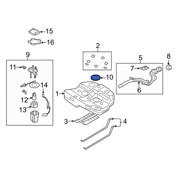 Fuel Pump Tank Seal