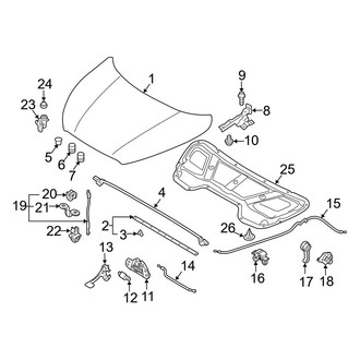 Hyundai OE - Hood & Components