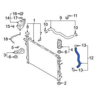 Hyundai OE - Lower Radiator Coolant Hose