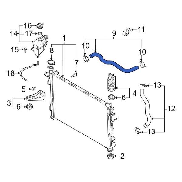 Radiator Coolant Hose