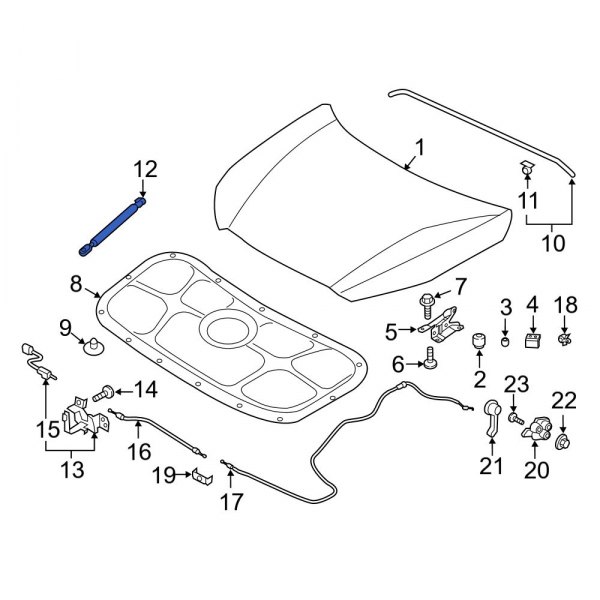 Hood Lift Support