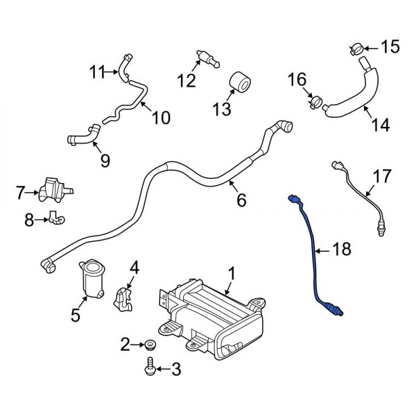 Oxygen Sensor