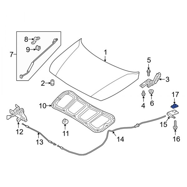 Hood Release Handle Nut