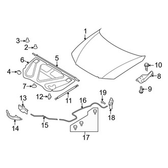 Hyundai OE - Hood & Components