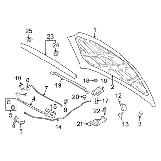 Hyundai OE - Hood & Components