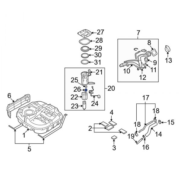 Fuel Pump Tank Seal