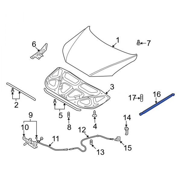 Hood Lift Support