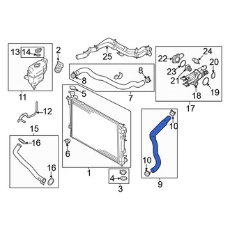 Hyundai OE - Lower Radiator Coolant Hose