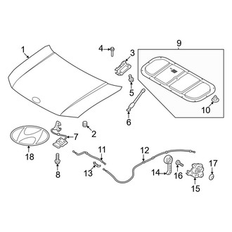 Hyundai OE - Hood & Components