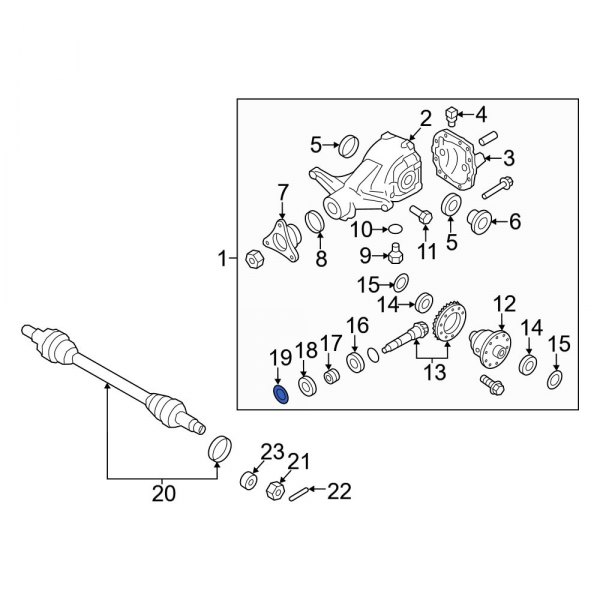 Differential Pinion Seal