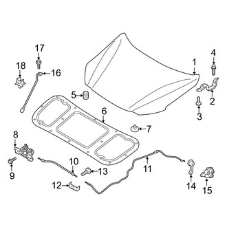 Hyundai OE - Hood & Components