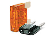 Fuses Thumbnail