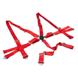 iD Select® - 6-Point 2" Seat Belt with Camlock Adjuster