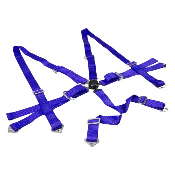 iD Select® - 6-Point Harness Set, Blue