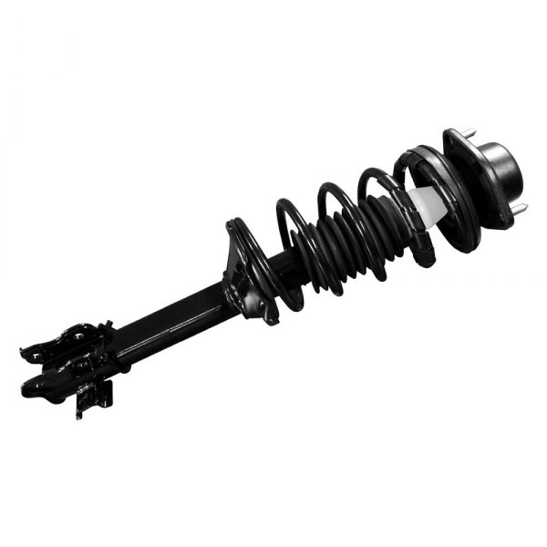 iD Select® - Rear Driver Side Complete Strut Assembly