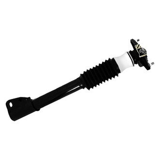 iD Select® - Rear Driver or Passenger Side Complete Strut Assembly