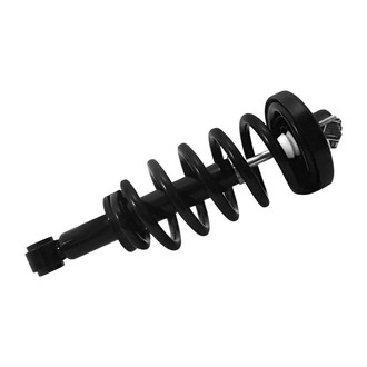 iD Select® - Rear Driver or Passenger Side Complete Strut Assembly