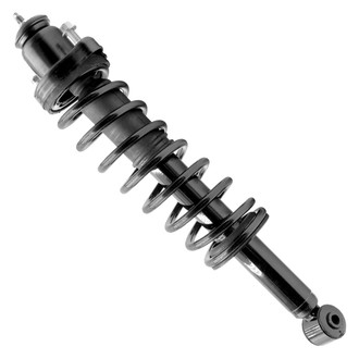 iD Select® - Rear Driver or Passenger Side Complete Strut Assembly