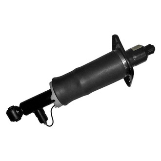 iD Select® - Rear Passenger Side Non-Electronic Air Complete Strut Assembly