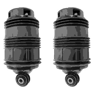iD Select® - Rear Air Spring Bag Kit