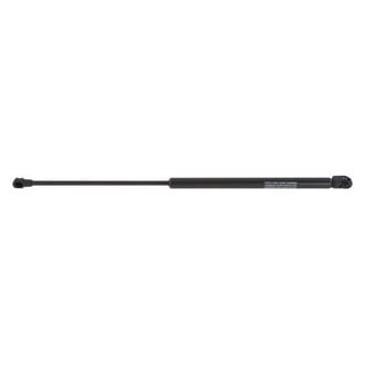 iD Select® - Liftgate Lift Support
