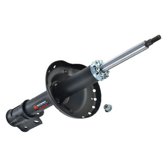 iD Select® - Front Passenger Side Twin-Tube Strut