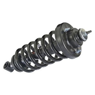 iD Select® - Rear Driver or Passenger Side Twin-Tube Complete Strut Assembly