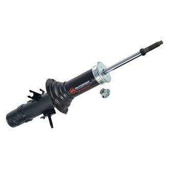 iD Select® - Front Driver Side Twin-Tube Strut