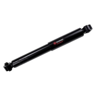 iD Select® - Shock and Strut