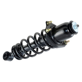 iD Select® - Rear Driver Side Complete Strut Assembly