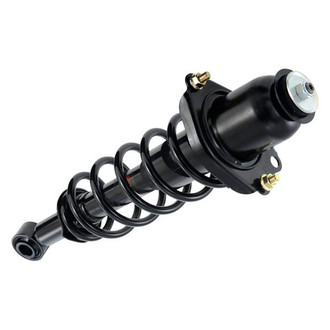 iD Select® - Rear Passenger Side Twin-Tube Complete Strut Assembly