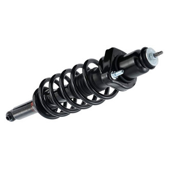 iD Select® - Rear Driver or Passenger Side Twin-Tube Complete Strut Assembly