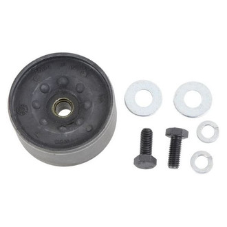 iD Select® - Shock and Strut Mount