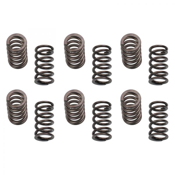 Industrial Injection® - Valve Springs