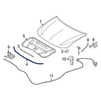 Infiniti OE - Front Hood Seal