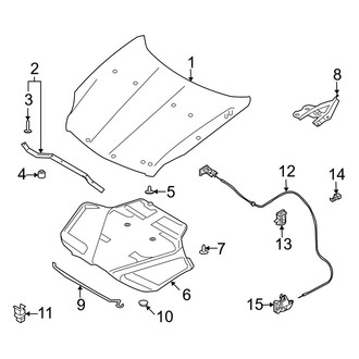 Infiniti OE - Hood & Components (Sedan)